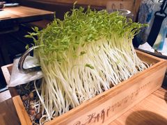 -大头椰·椰子鸡火锅(南宁万象城店)