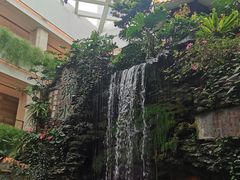 -白天鹅宾馆·流浮阁咖啡厅