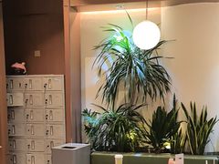-奈雪的茶(石家庄万象城店)