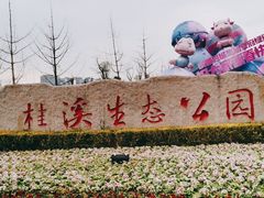 -桂溪生态公园