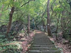 -九曜山