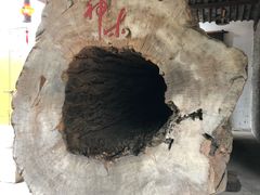 -宁波溪口古镇-民国大杂院