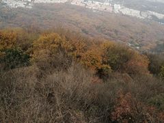 -紫金山索道-售票处