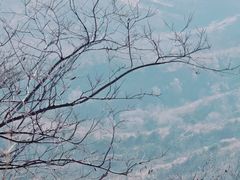 -青龙山景区