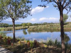 -野鸭湖国家湿地公园