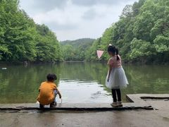 -青龙山国家森林公园