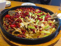 -老板恋上鱼(恒隆广场店)