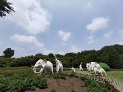 -廊坊市自然公园