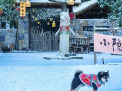 -宁波五龙潭景区