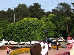 -铁山坪森林公园