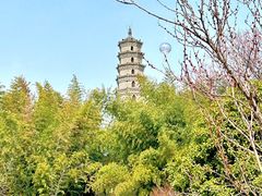 -祥源·阜阳生态乐园