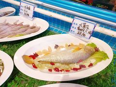 -五道口(地铁站)
