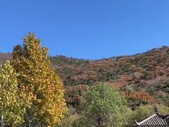-北京十三陵国家森林公园蟒山景区