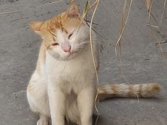 -金庭庄园酒店-停车场