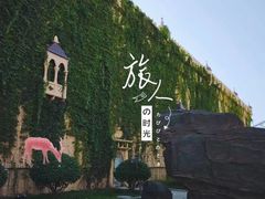 -泉城欧乐堡梦幻世界