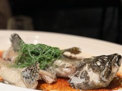 -三利音·东方司宴(外滩店)