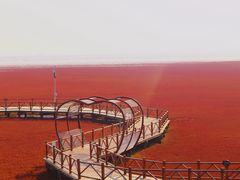 -红海滩国家风景廊道