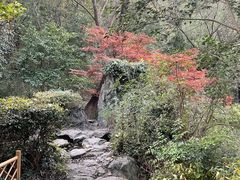 -南山风景名胜区