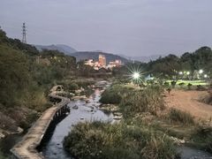 -卿园芳远·正宗石鼓白鸭汤