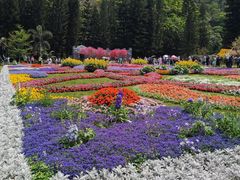 -深圳仙湖植物园