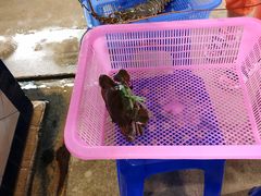 -班赞海鲜市场