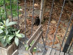 -二楼南书房