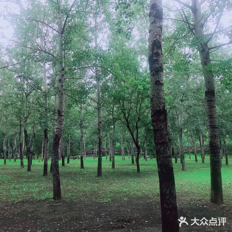 北京古塔公园[胜利]
