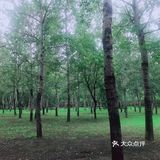 北京古塔公园[胜利]