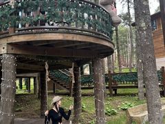 -洛阳白云山景区