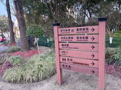 -黄兴公园