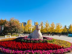 -永定河休闲森林公园