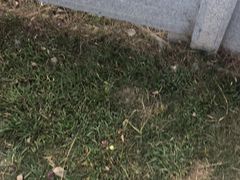 -敬亭山风景名胜区