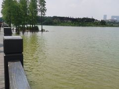 -海珠湖公园