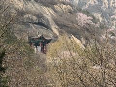 -北京凤凰岭