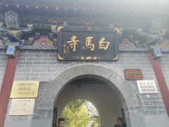 -洛阳白马寺