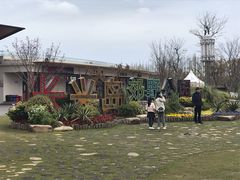 -上海长兴岛郊野公园