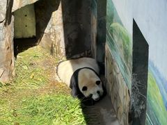 -青藏高原野生动物园