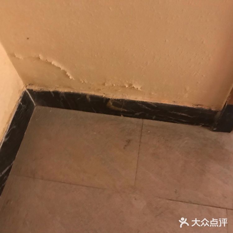 史上最恶心的体验