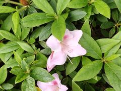 -沐仙湖湿地公园
