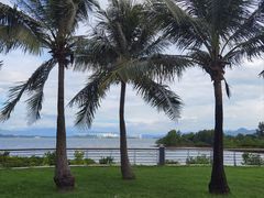 -深圳湾公园(南山区)