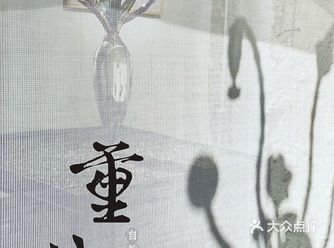 北京看展｜胡同里的自然之道“重生”