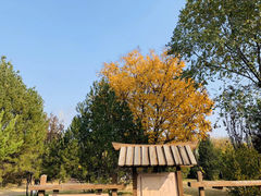 -天元公园