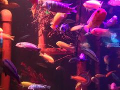 -沈阳海洋探索中心