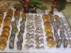 -萧邦音乐会所KTV·蒸汽活海鲜自助(福田店)