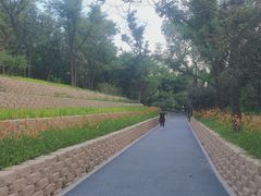 -长辛店二七公园