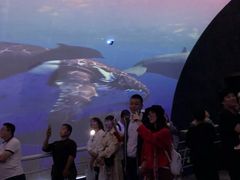 -大连圣亚海洋世界