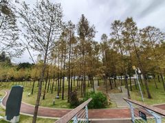 -牛岗山公园