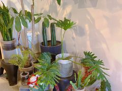 -PAUSE CAFE(南秀村店)