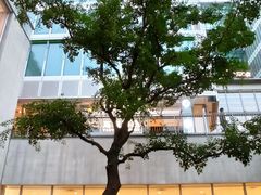 -茑屋书店(天目里店)