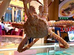 -尖沙咀大酒楼(大沥竹基南店·粤菜海鲜·宴会聚餐)